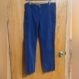 Pilcro and the Letterpress Fit Hyphen navy pinstripe pants 28 JB1